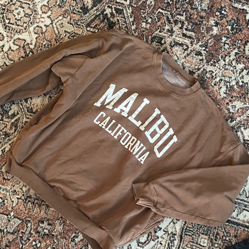 Brandy Melville Brown Malibu Sweatshirt